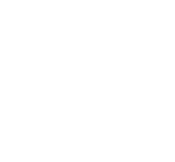MDS Hosting